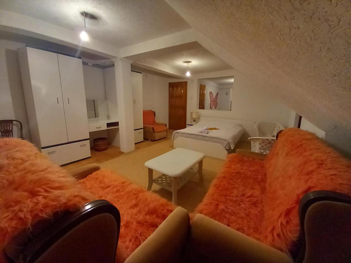 Apartment Little Village 普拉夫 外观 照片